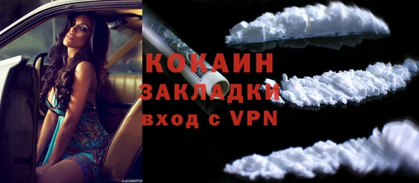 индика Лиски