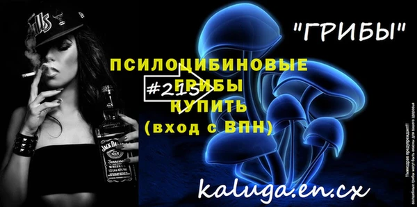 индика Лиски