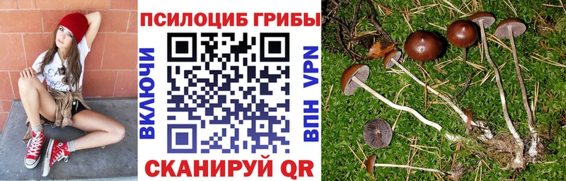 Галлюциногенные грибы Cubensis  Купить  Котовск 