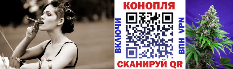 Марихуана THC 21%  Купить где  Котовск 